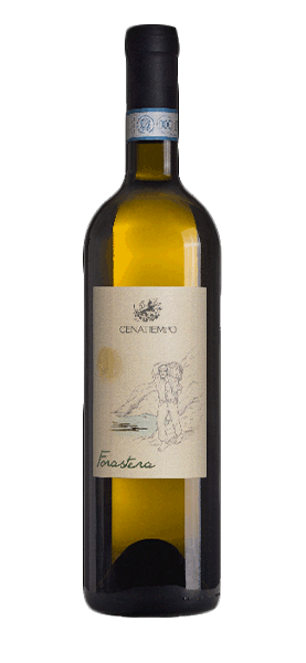 Forastera Ischia DOC 2023