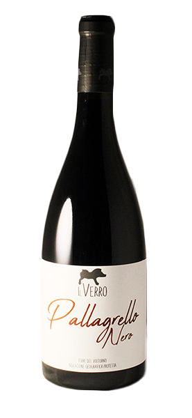 Pallagrello Nero Terre del Volturno IGP 2022