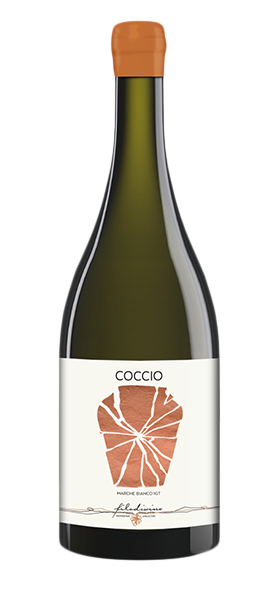 "Coccio" Marche Bianco IGT 2022