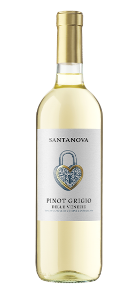 Pinot Grigio delle Venezie DOC 2024