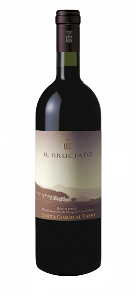 Il Bruciato Bolgheri Rosso DOC 2023