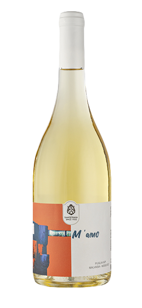 "M'amo" Malvasia Moscato Puglia IGP 2024