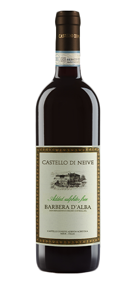 Barbera d'Alba Sulphites Free DOC 2020
