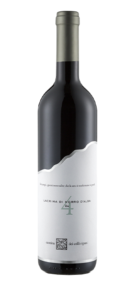 Capitolo 4 Lacrima di Morro d'Alba DOC 2021
