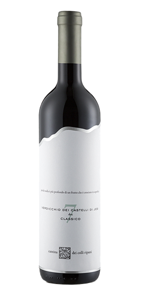 Capitolo 7 Verdicchio dei Castelli di Jesi Classico DOC 2023