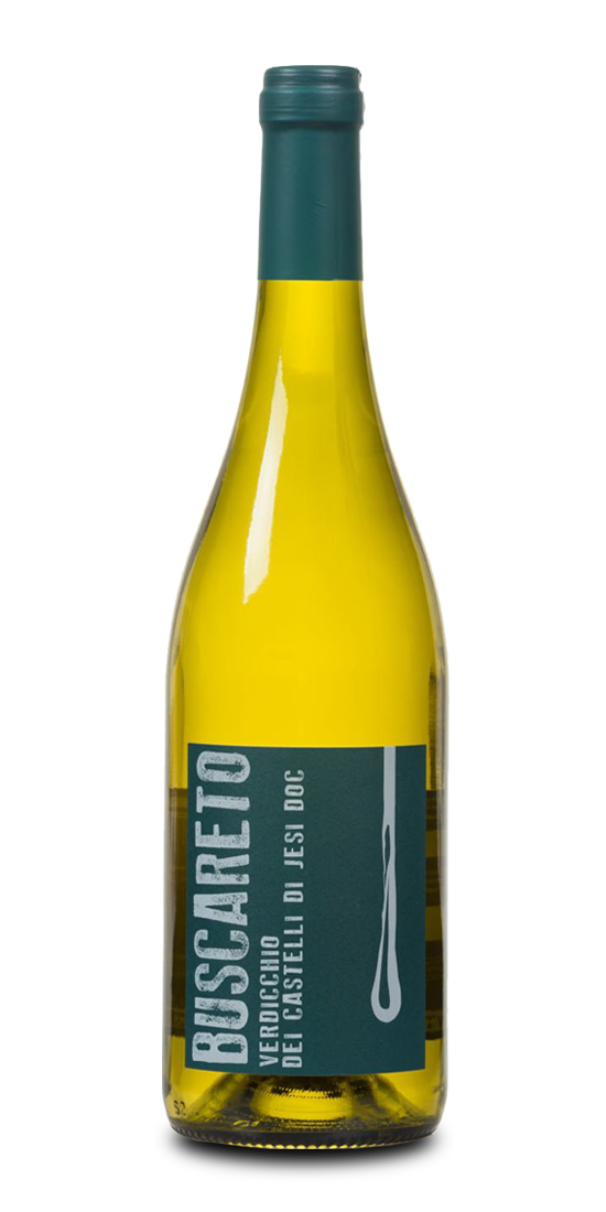 Verdicchio dei Castelli di Jesi DOC