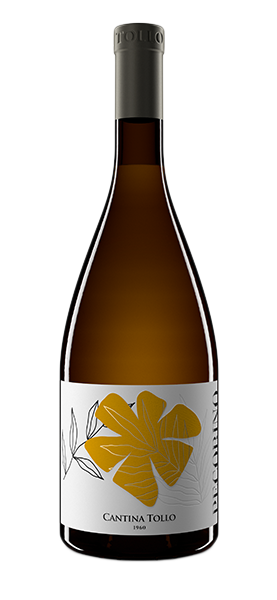 Pecorino Terre di Chieti IGP 2024