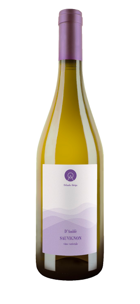 D'Amblà© Sauvignon Langhe