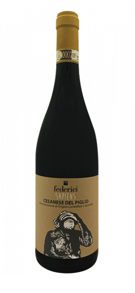Sapiens Cesanese del Piglio DOCG 2024