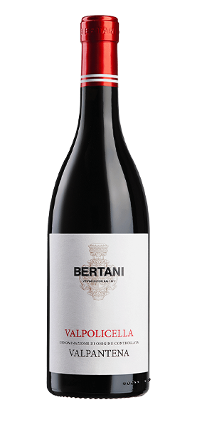 Valpolicella Ripasso DOC 2019