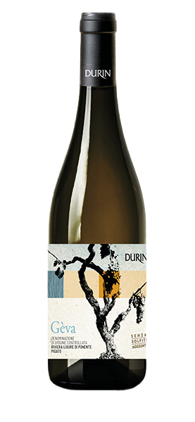Geva Pigato DOC Riviera Ligure di Ponente 2023