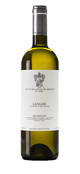 Sauvignon Langhe DOC 2019