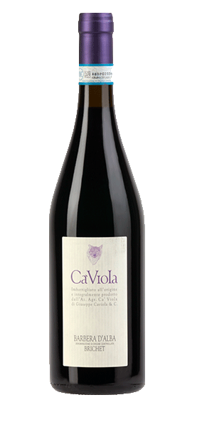 Brichet Barbera d'Alba DOC 2021