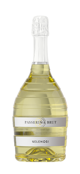 Passerina Brut