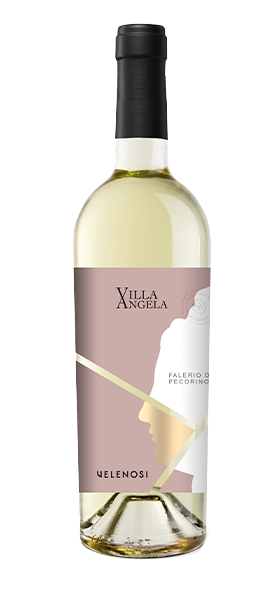 Pecorino Falerio DOC "Villa Angela" 2024