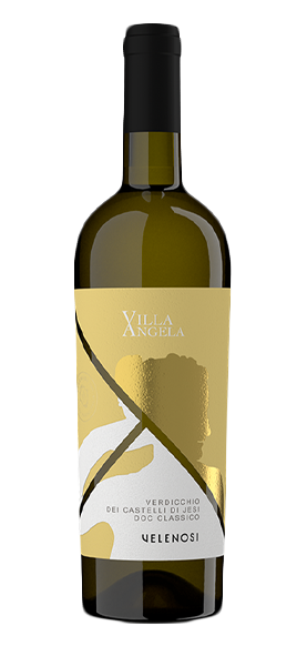"Villa Angela" Verdicchio dei Castelli di Jesi DOC Classico 2023
