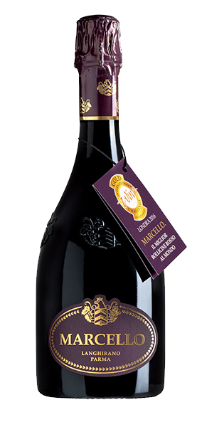 Ariola "Marcello" Lambrusco Spumante Dry Gran Cru