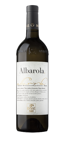 Albarola Colli di Luni DOC 2025
