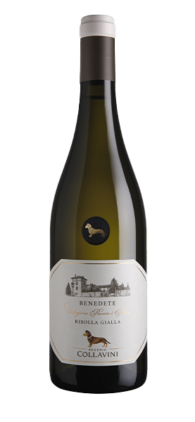 Benedete Ribolla Gialla IGT 2020