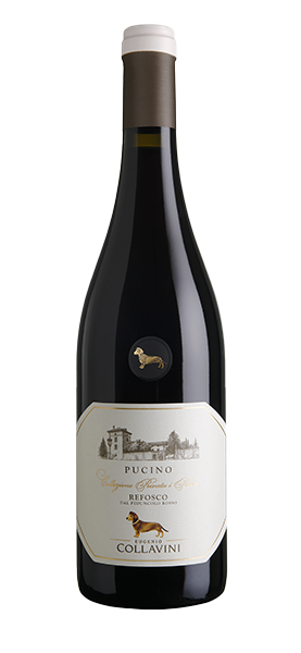 "Pucino" Refosco dal Peduncolo Rosso DOC 2023