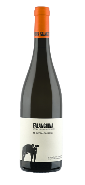 Falanghina IGP Campania 2024
