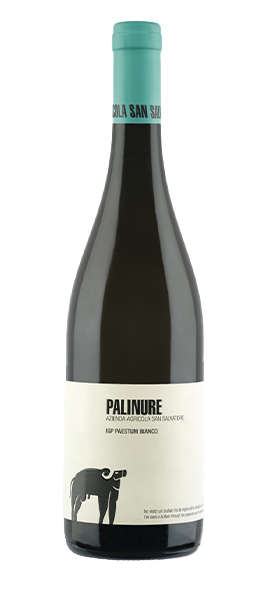 Palinure IGP Paestum Bianco 2023