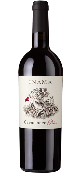 Carmenere Più IGT 2022