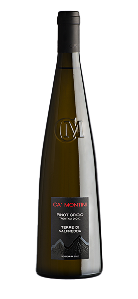 Pinot Grigio Trentino DOC Terre di Valfredda 2020