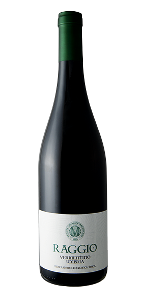 Raggio Vermentino Umbria IGT 2019