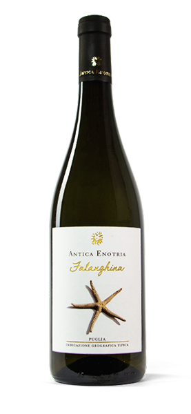 Falanghina Puglia IGT 2021