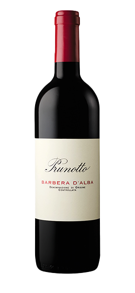 Barbera d'Alba DOC 2024