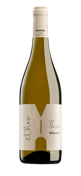 Ethos Venezia Giulia IGT 2020