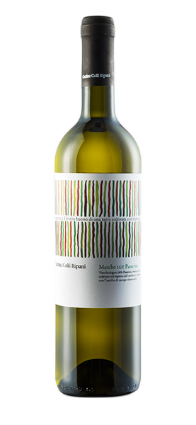 Passerina Marche IGT 2023