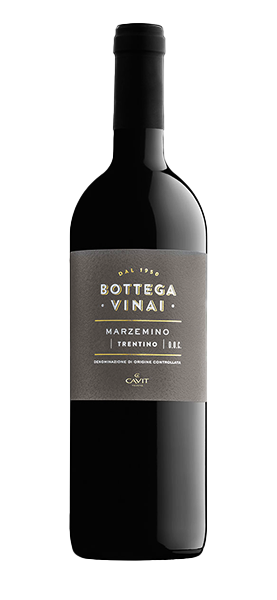 Bottega Vinai Marzemino Trentino DOC 2020
