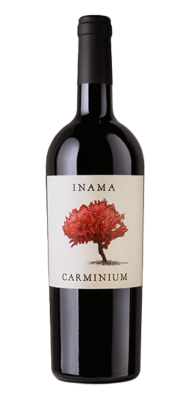 Carminium Carmenere Colli Berici DOC 2018