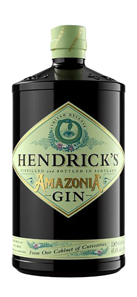 Image of Gin Hendrick's "Amazonia"