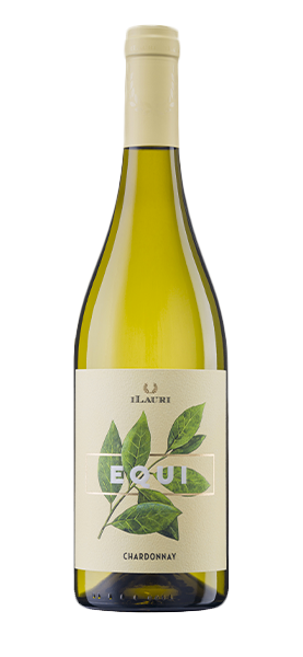 Equi Chardonnay Colline Pescaresi IGP 2023