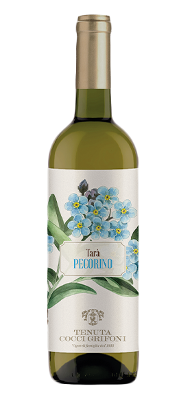 Tarì Falerio Pecorino DOC 2023