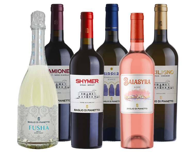 Solo Bio, Solo Baglio