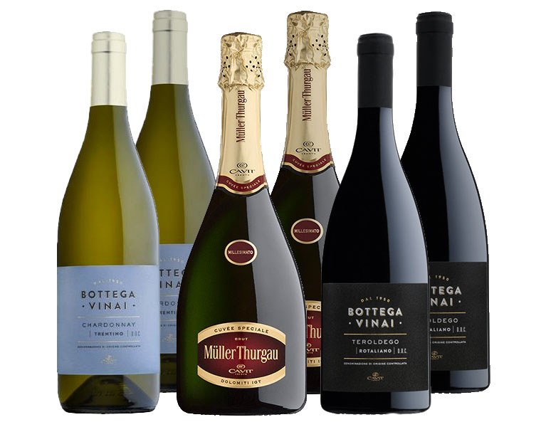 Cavit, Maestri Trentini