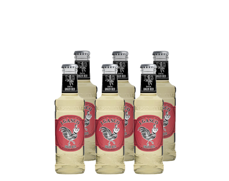 Confezione Evia Ginger Beer