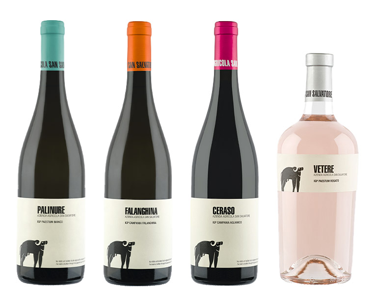 Il Cilento di tendenza