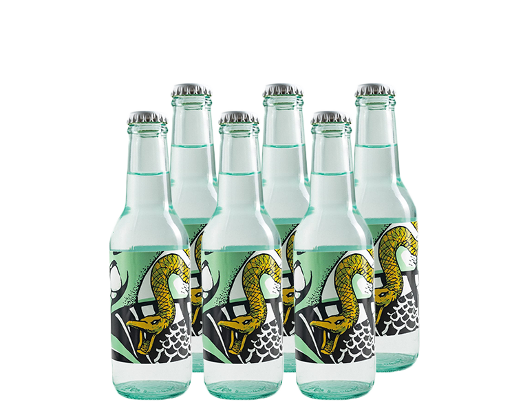 Confezione Gin Tonic Ready to Drink