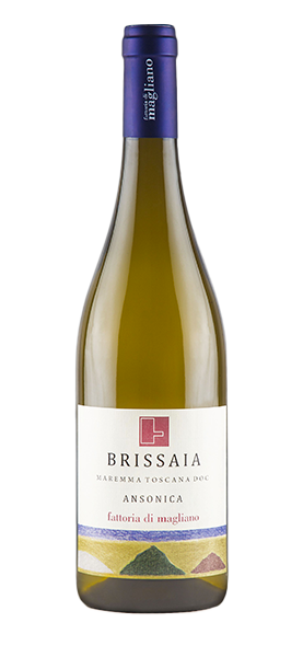 Brissaia Ansonica Maremma Toscana DOC 2023