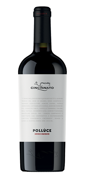 Pollùce Nero Buono Lazio IGT 2024