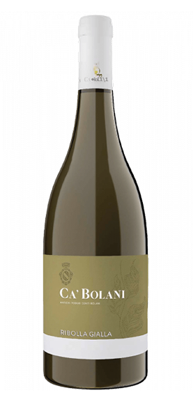 Ribolla Gialla Venzia Giulia IGT 2024