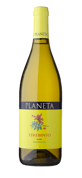 Terebinto Grillo Menfi DOC 2024