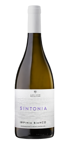 "Sintonia" Irpinia Bianco DOC 2024