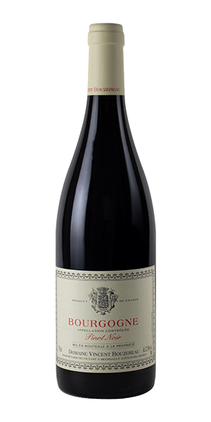 Bourgogne AOC Pinot Noir 2022