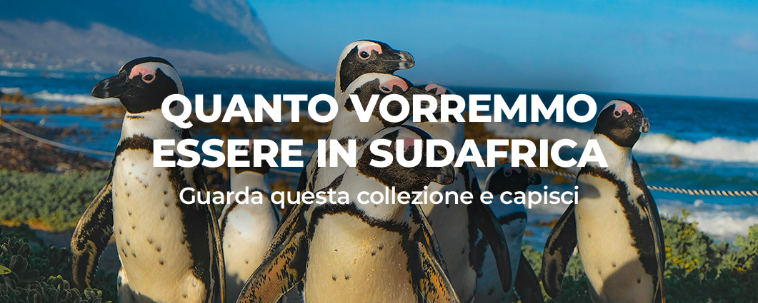 QUANTO VORREMMO ESSERE IN SUDAFRICA